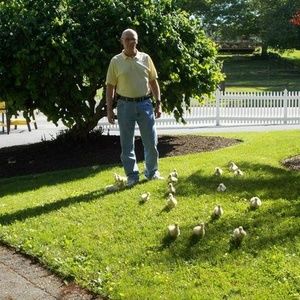 Meet your Posher, Steve